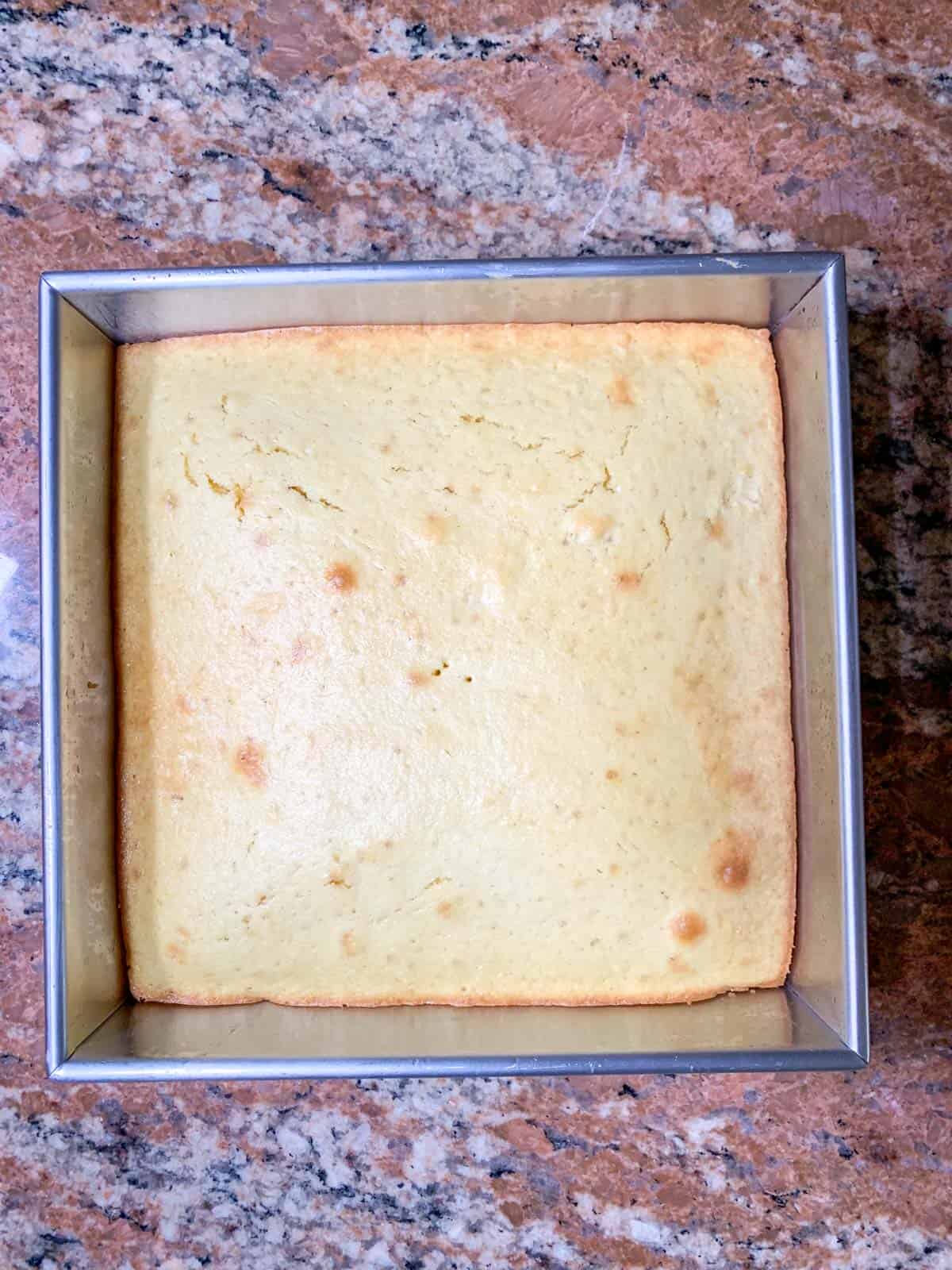 baked cake in the tin.