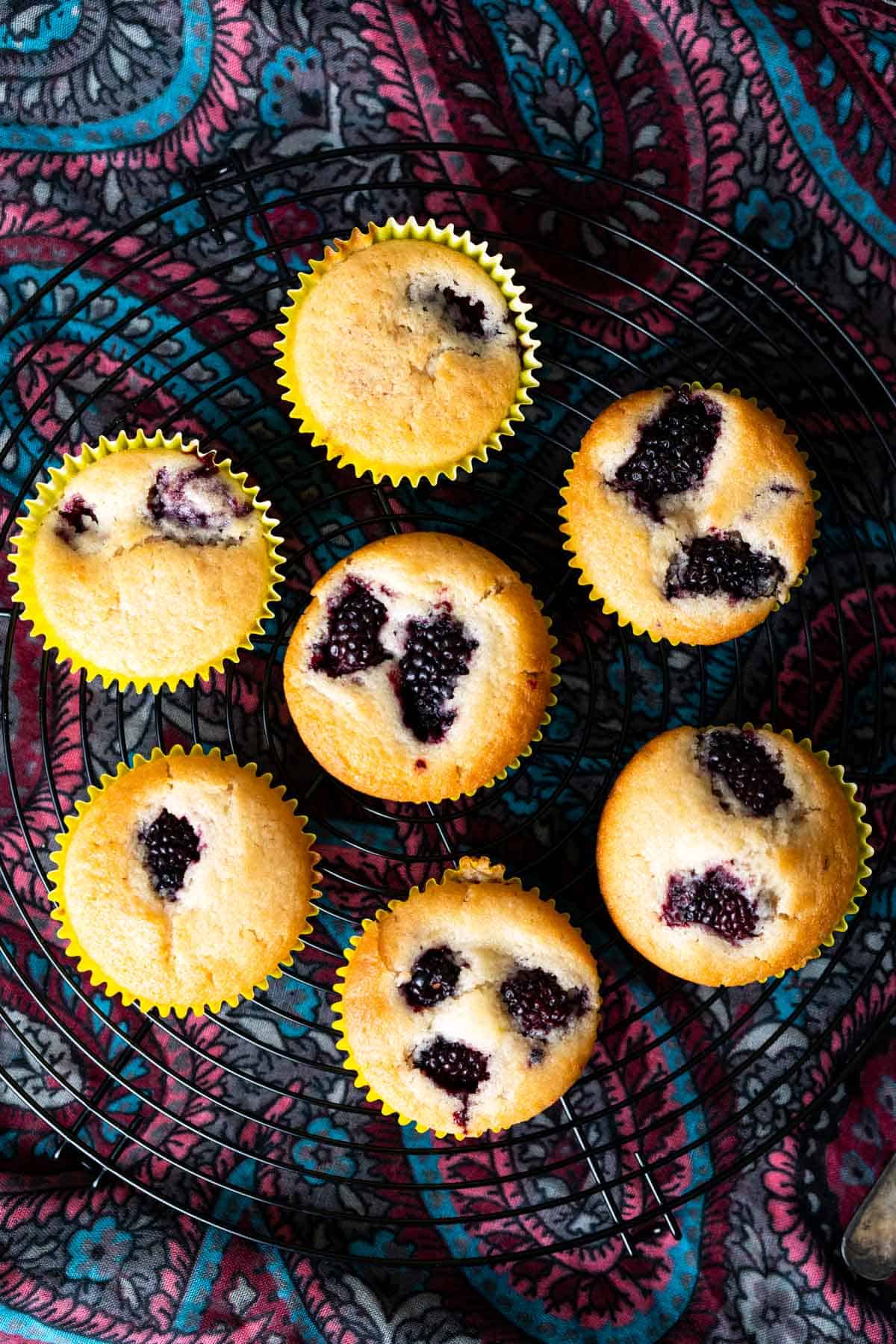 overhead shot of vegan blackberry muffins placed on black wire rack on a colorful table cloth.